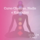 Curso de Chacras Nadis e Kundalini - Universo do Terapeuta